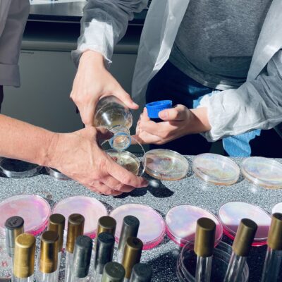 Agar mikrobiologie Beer Academy